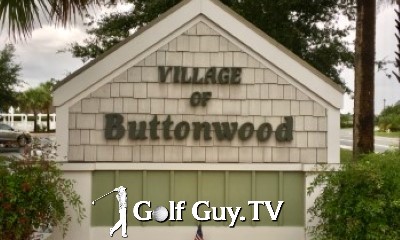 Buttonwood